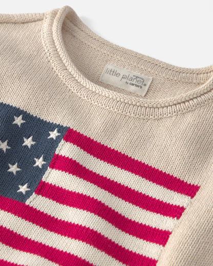 Toddler Organic Cotton American Flag Knit Sweater