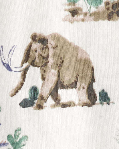 Kids Dinosaur Print Organic Cotton 2-Piece Pajamas