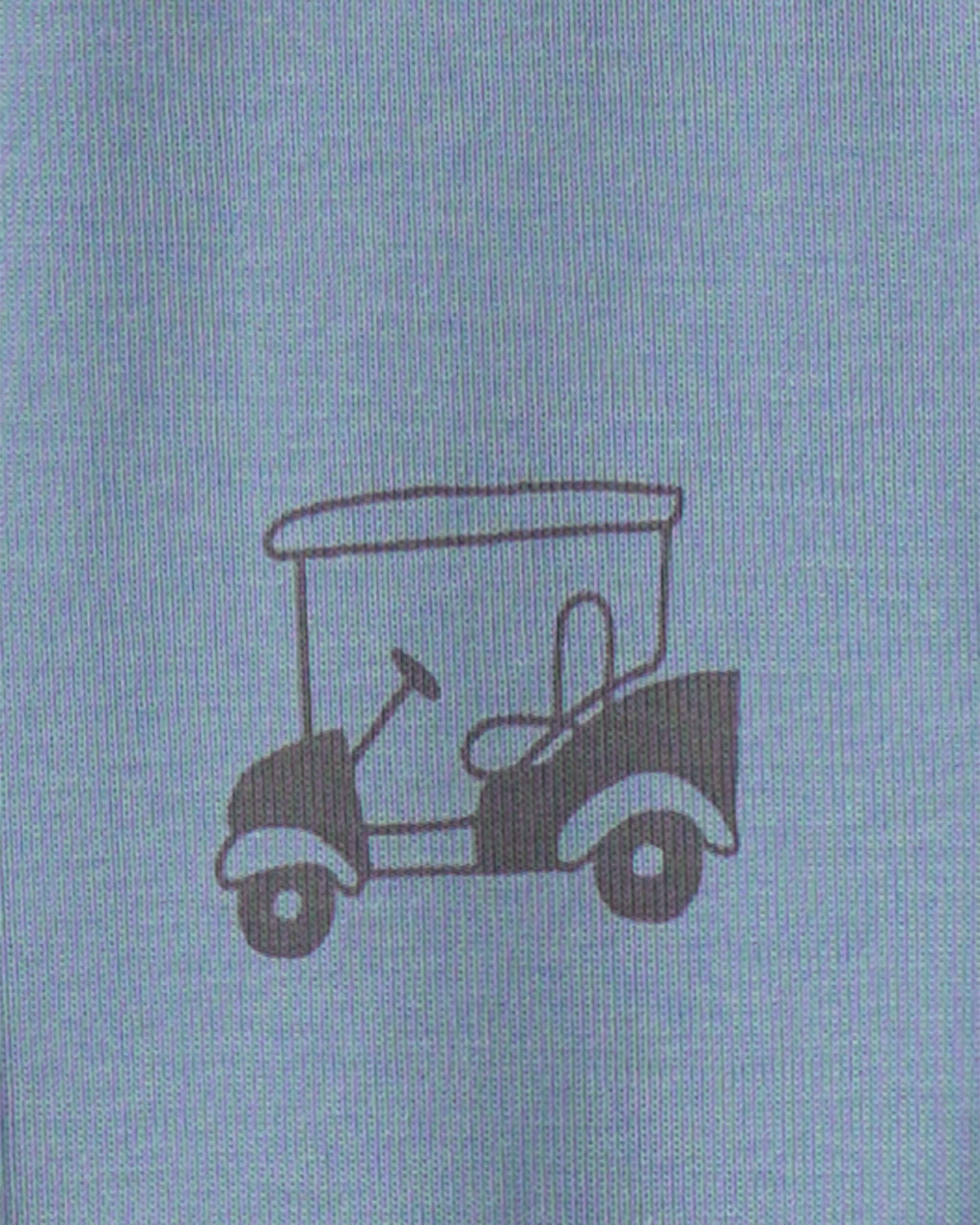 Boys Mini Golf 100% Cotton Short-Sleeve Snug Fit 4-Piece Pajama Set - Green/Blue