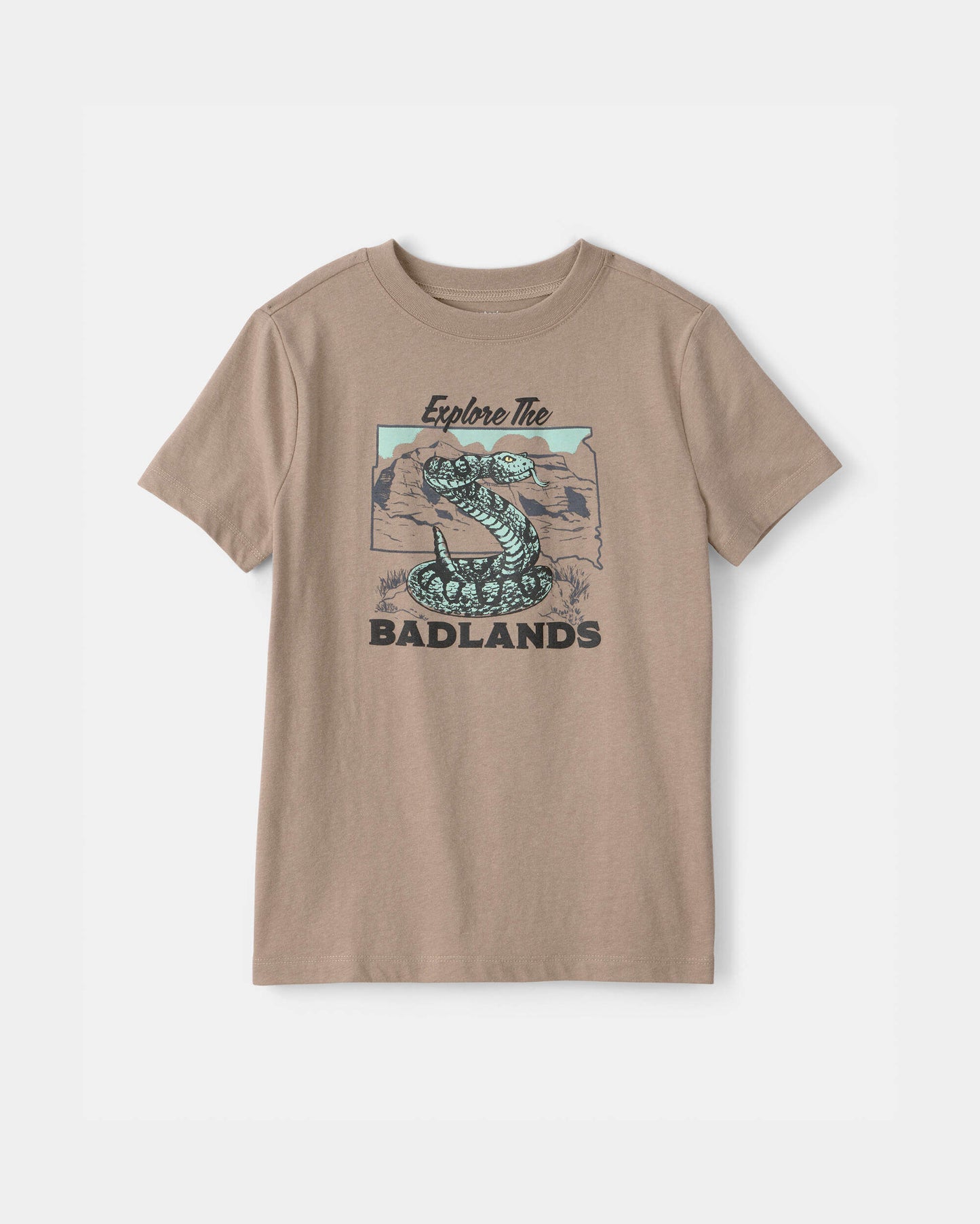 Boys Badlands Snake Graphic Tee - Brown