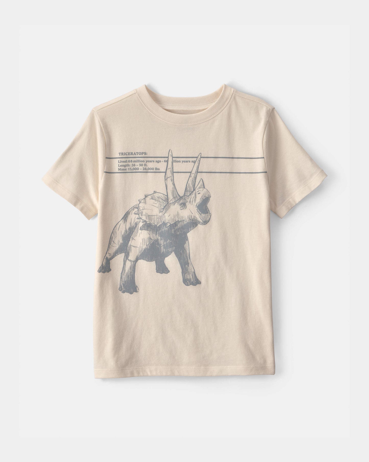 Boys Triceratops Dinosaur Graphic Tee - Cream