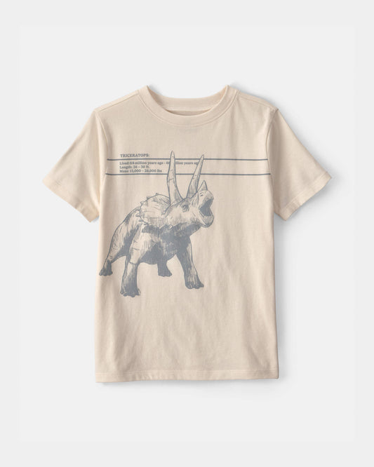 Boys Triceratops Dinosaur Graphic Tee - Cream