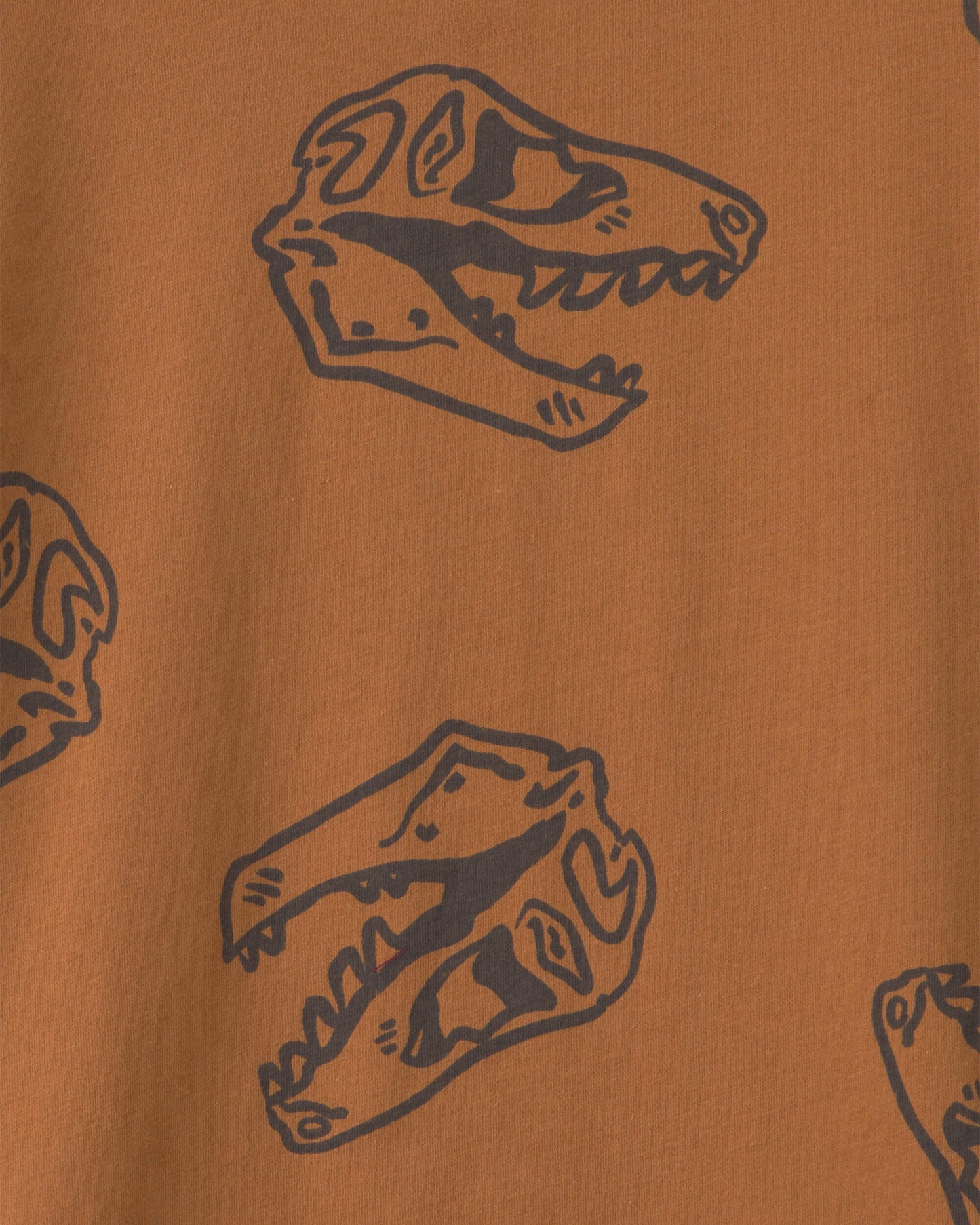 Boys Dinosaur Long-Sleeve T-Shirt - Brown