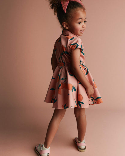 Toddler Girl Avenue Twirl™ Dress in Clementine Grove Print - Light Pink