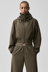First Draft Jacket - Olive Tree